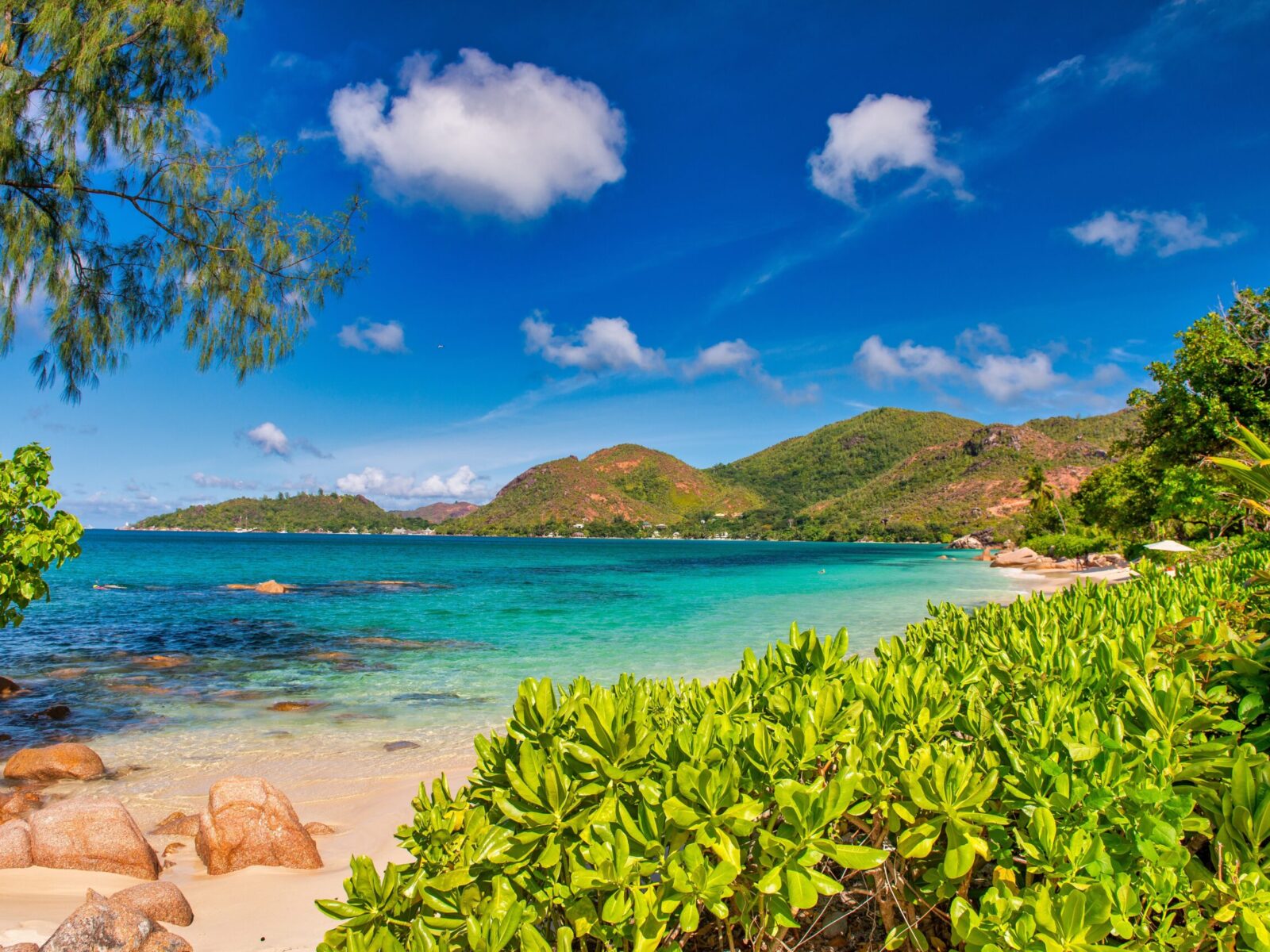 Amazing,Tropical,Landscape,Of,Praslin,,Seychelles.,Beach,And,Vegetation,,Travel