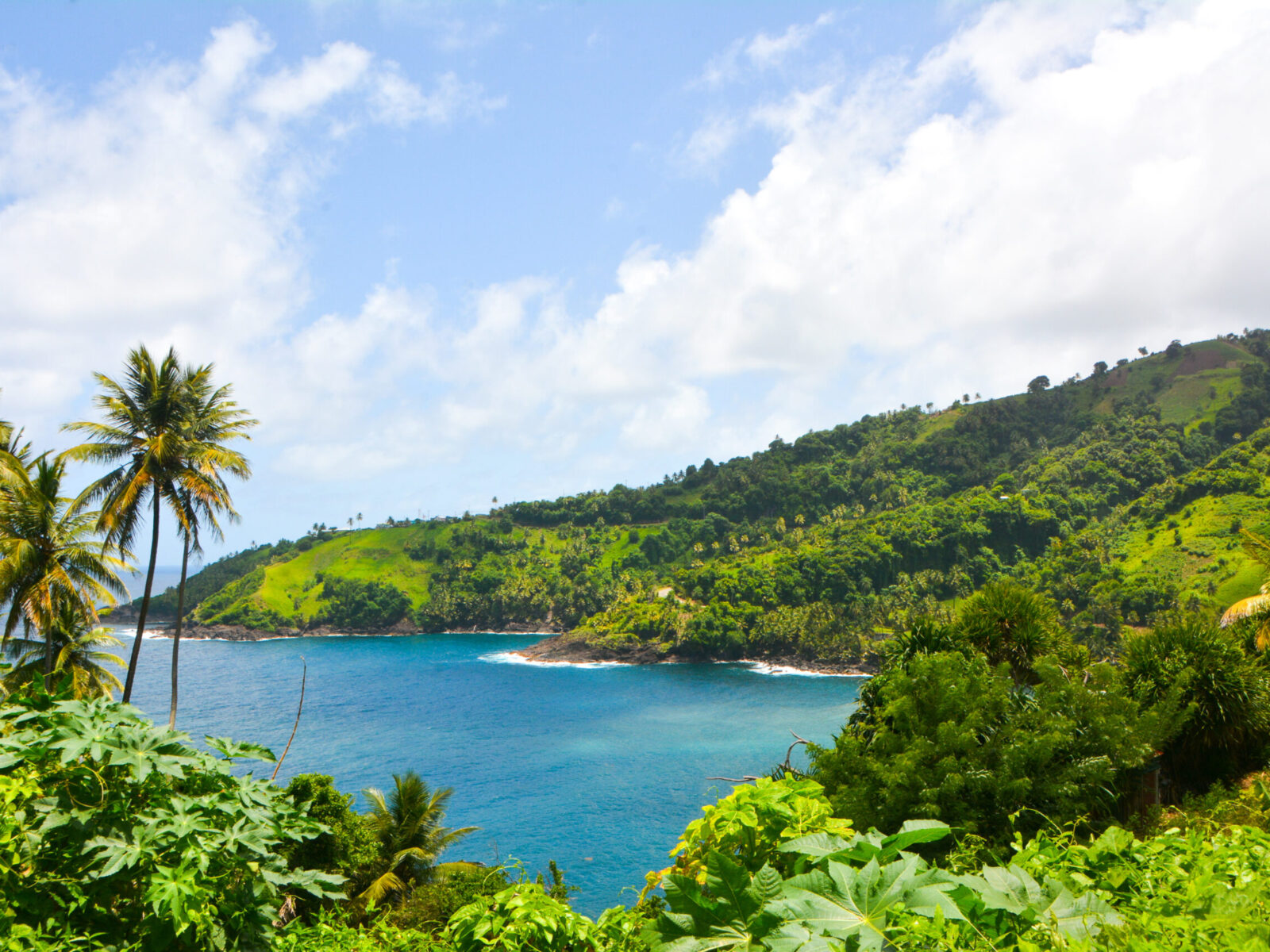 St.,Vincent,And,The,Grenadines