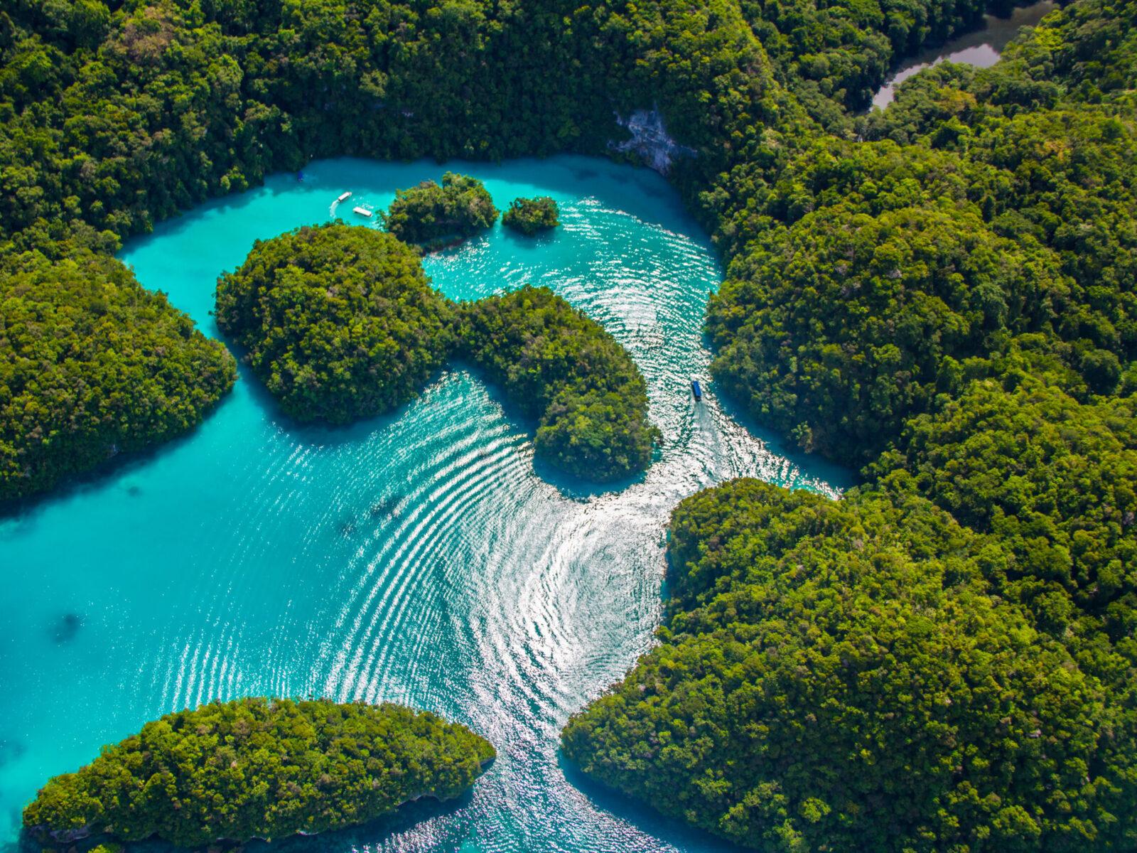 Beautiful,View,Of,Palau,Tropical,Islands,And,Pacific,Ocean,From