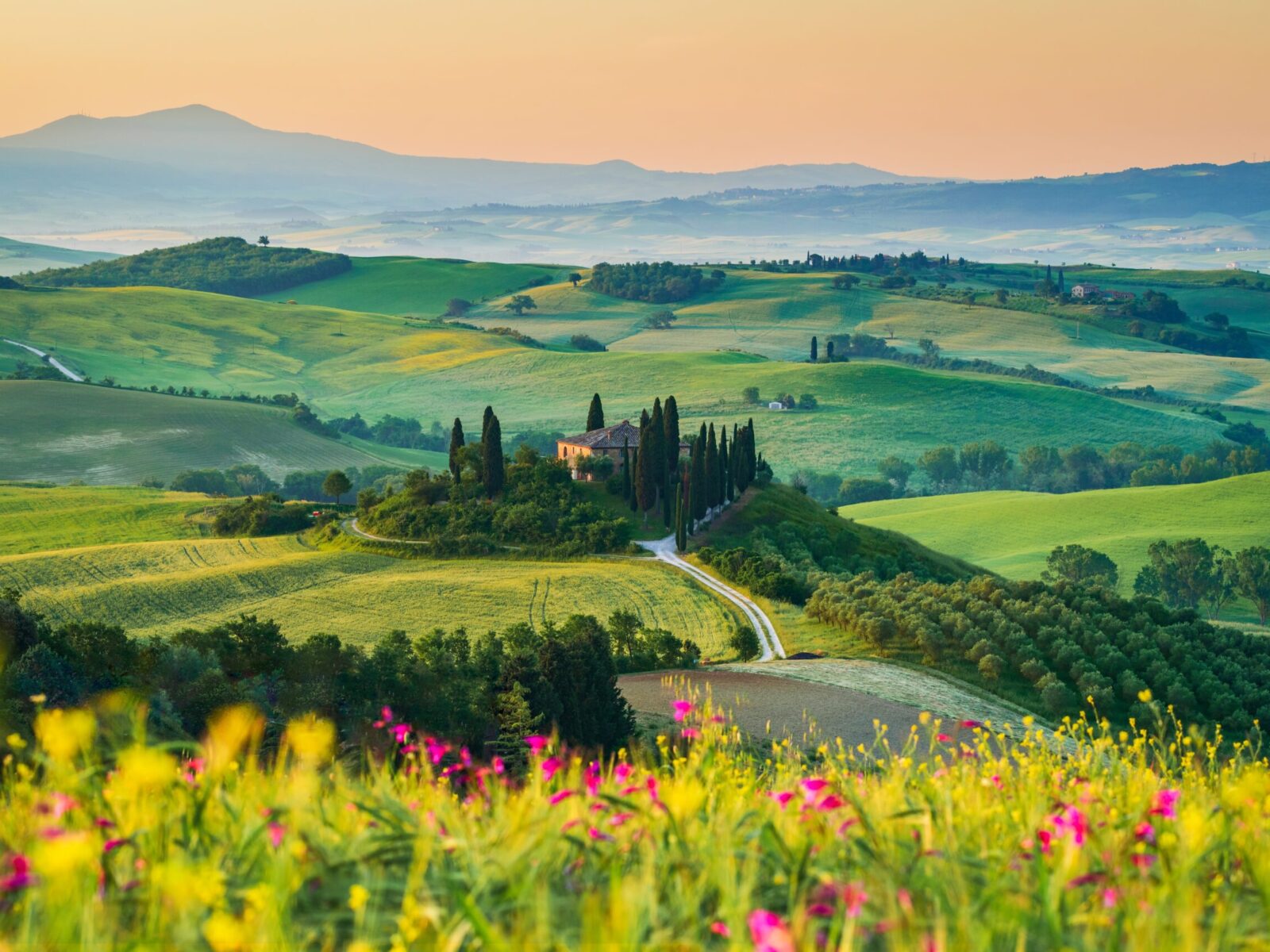Val,D’orcia,,Tuscany,-,14th,May,2024.,Idyllic,Tuscan,Landscape