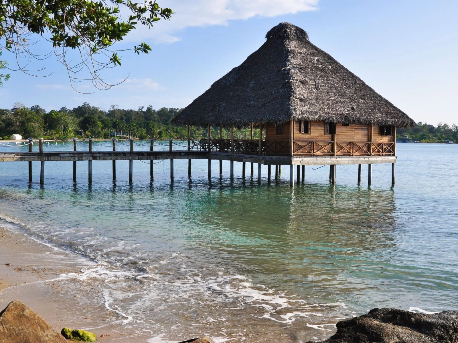 Bocas del toro
