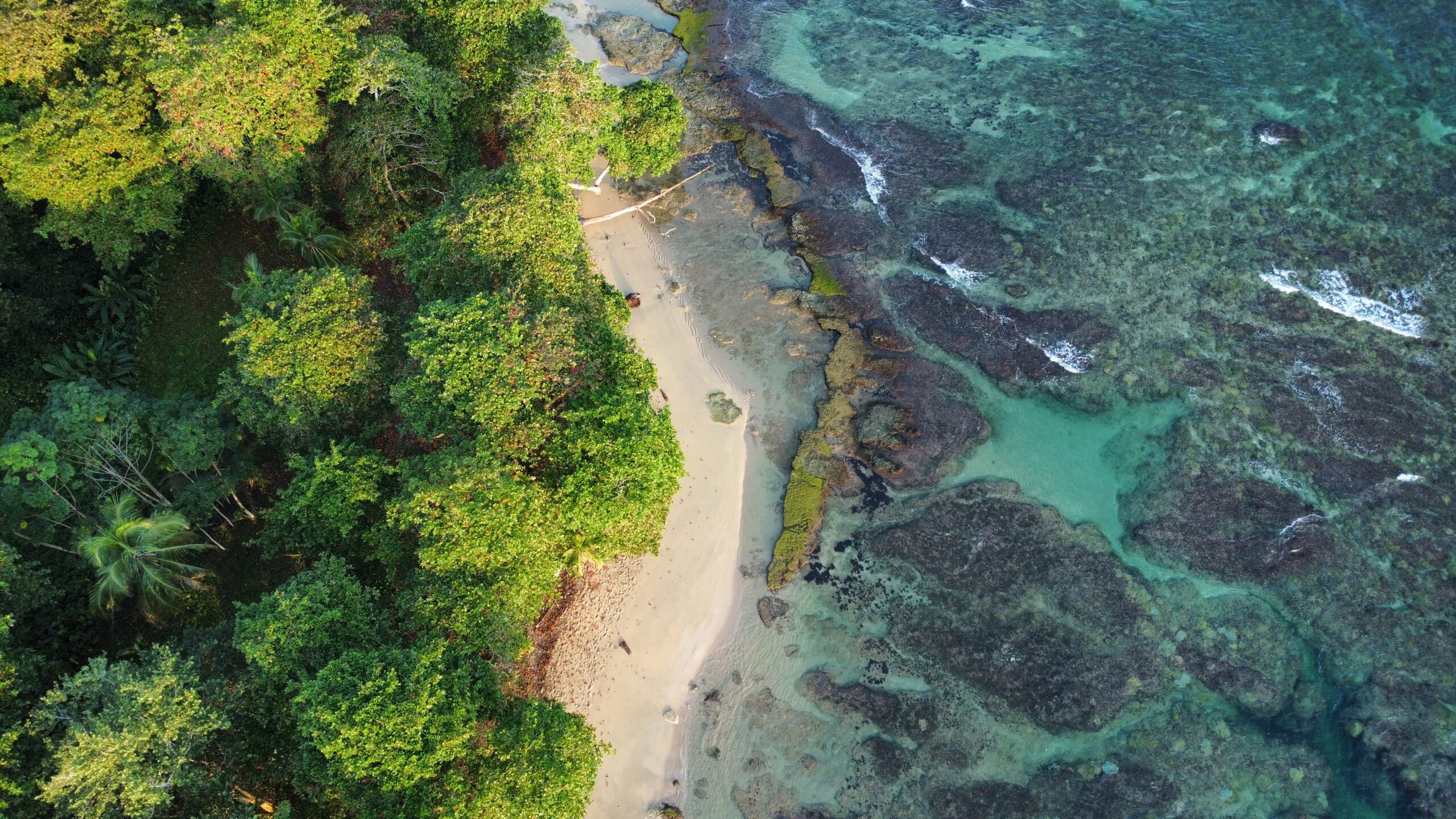 A,Stunning,Aerial,Shot,Of,A,Secluded,Beach,In,Costa