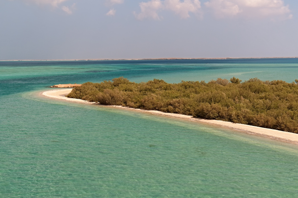 View,Of,The,Coast,Of,Sajid,Island,And,The,Red