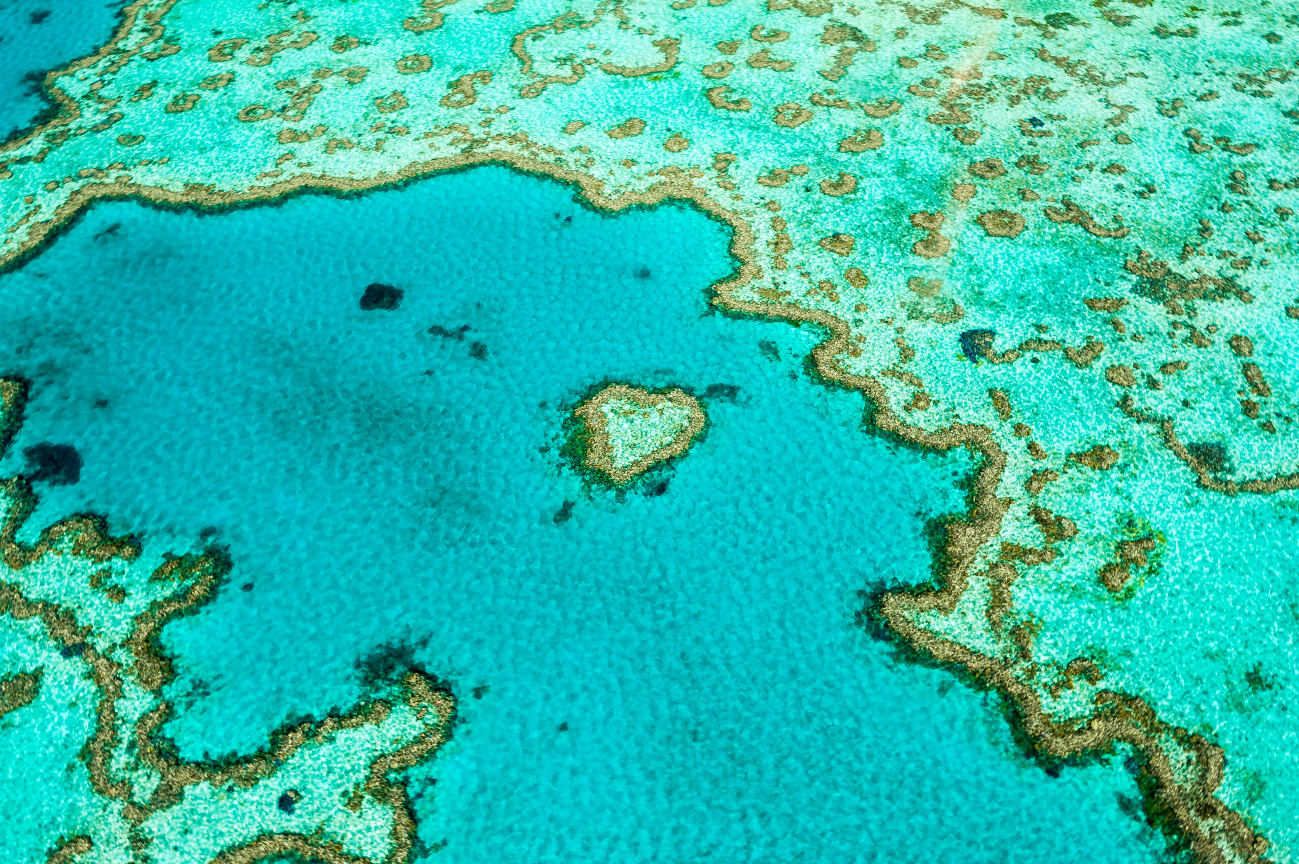 Heart,Reef,,Hardy,Lagoon,In,The,Great,Barrier,Reef,Of