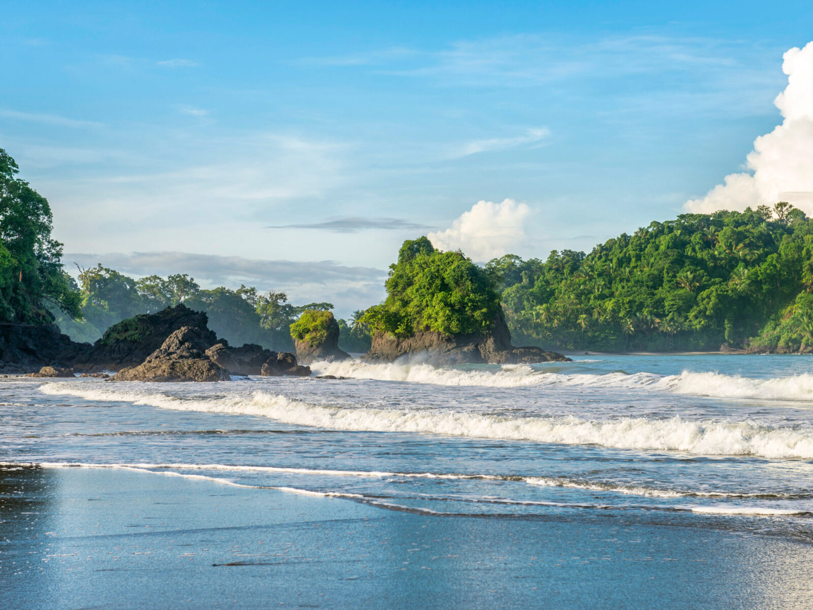 Manuel,Antonio,Beatiful,Tropical,Beach,With,White,Sand,,Green,Palms