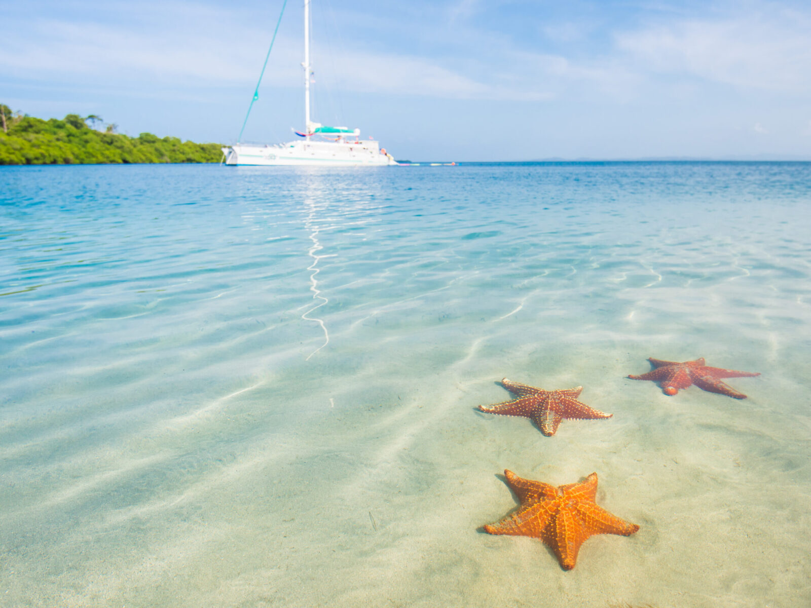 Three,Beautiful,Starfish,In,The,Sea,Water,And,White,Yacht
