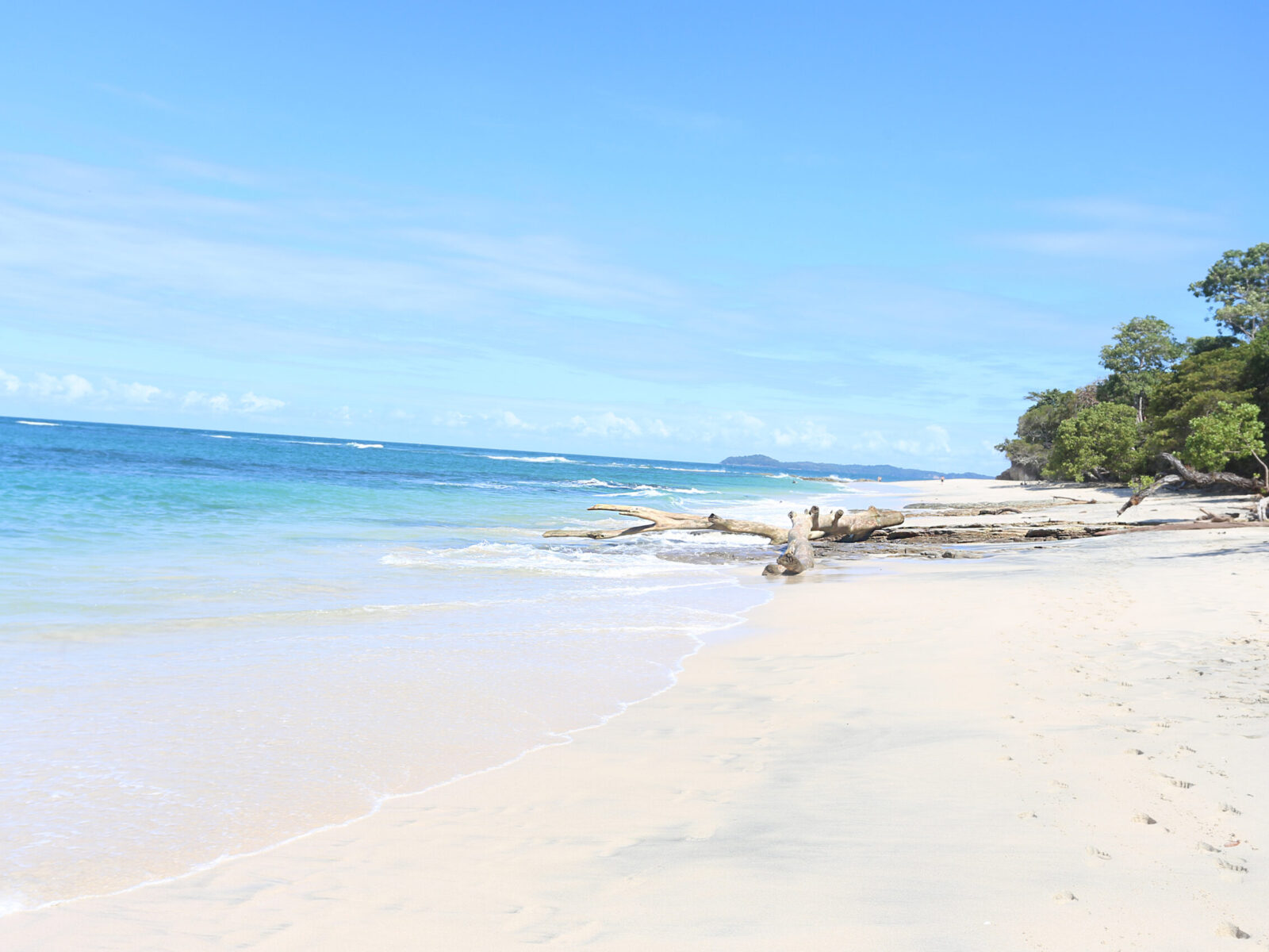 Pearl,Islands,Beach,In,Panama.,Pearl,Island,Is,A,Wildlife