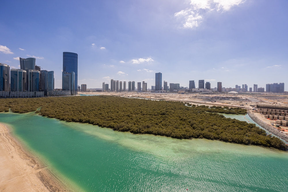 Roof,Top,View,Of,The,Mangrove,And,Saadiyat,Island,