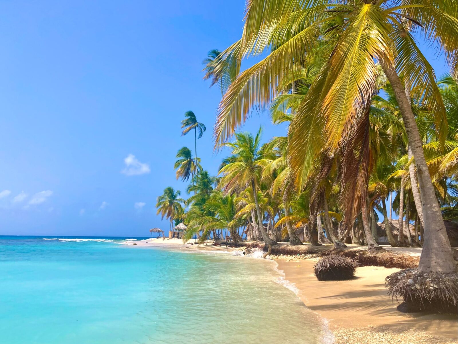 Tranquil,Beach,On,Remote,Island,In,Carribean,Sea.,Palm,Trees,