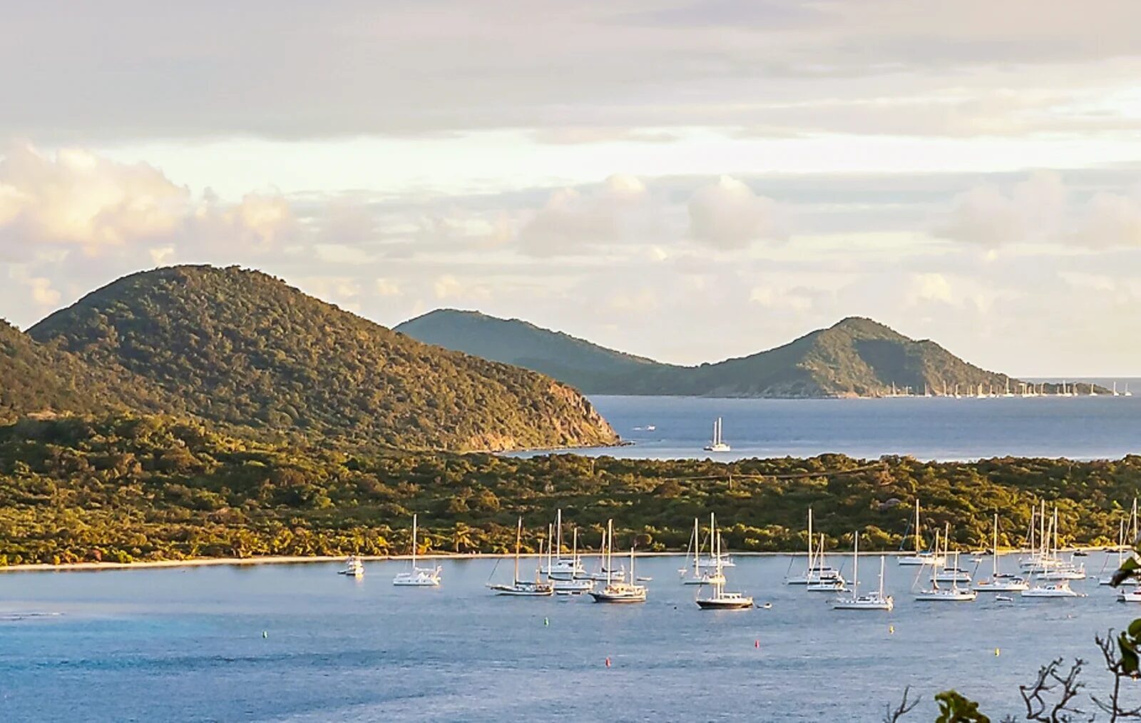 Trellis Bay