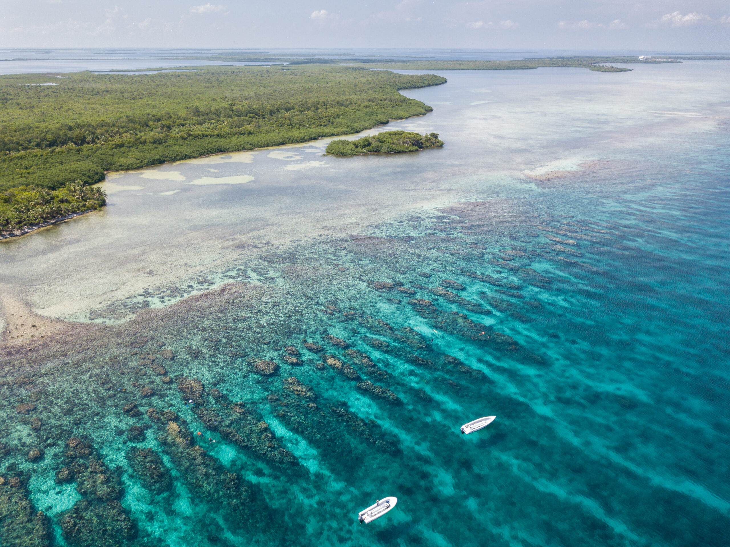 An,Aerial,View,Of,The,Barrier,Reef,Along,Turneffe,Atoll