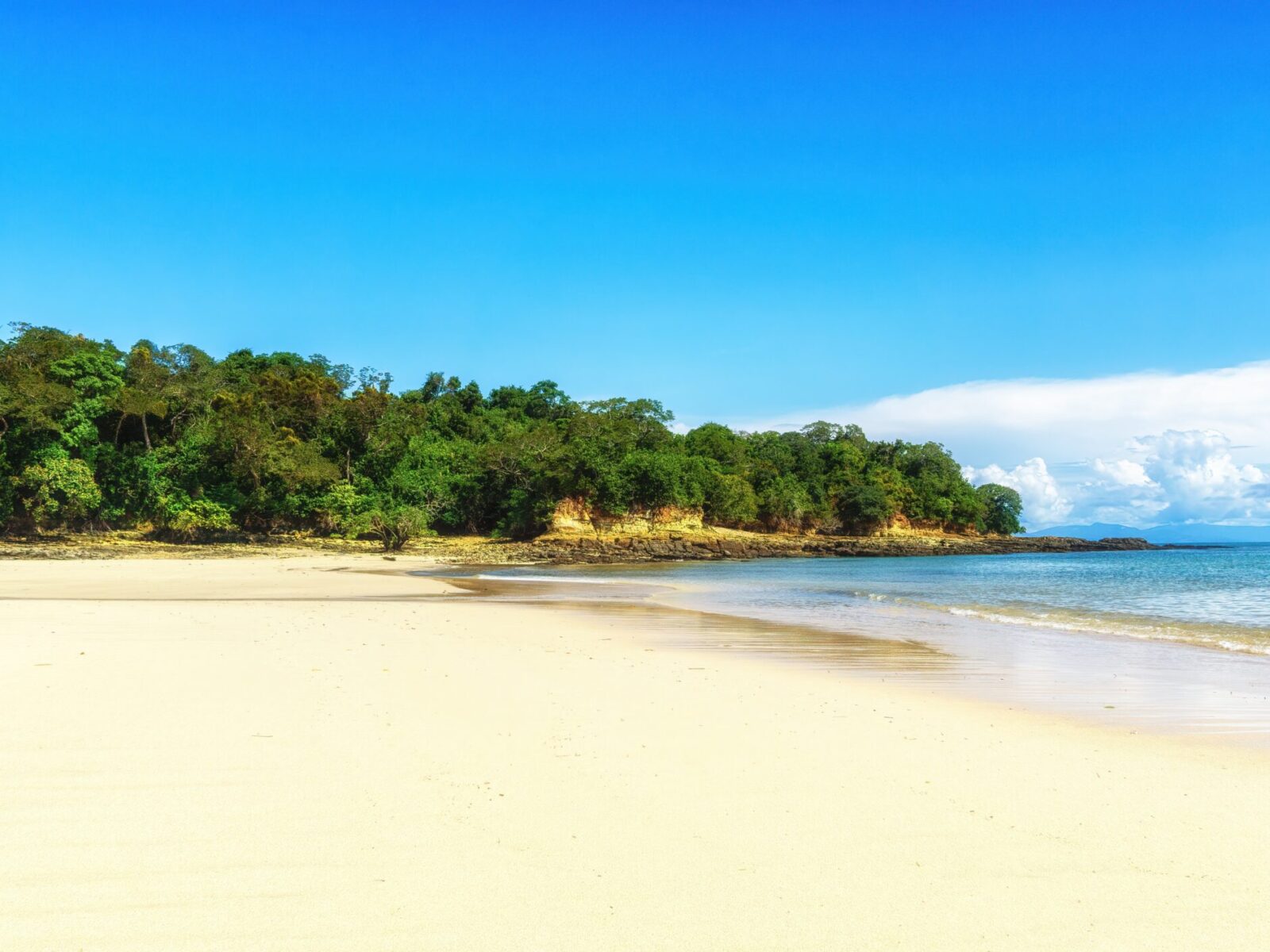 Trees,On,Tropical,Beach,Under,Blue,Sky,,Pearl,Island,Archipelago,
