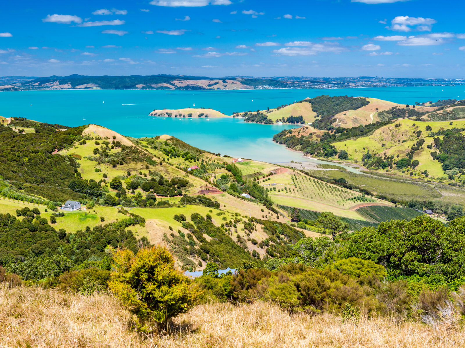 View,From,The,Highest,Point,,Waiheke,Island,,New,Zealand